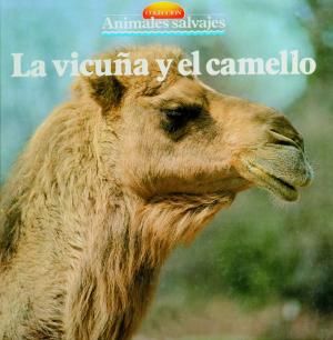 Cover of the book La vicuña y el camello by Santiago Vázquez Folgueira