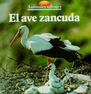Cover of the book El ave zancuda by Mauricio Bach