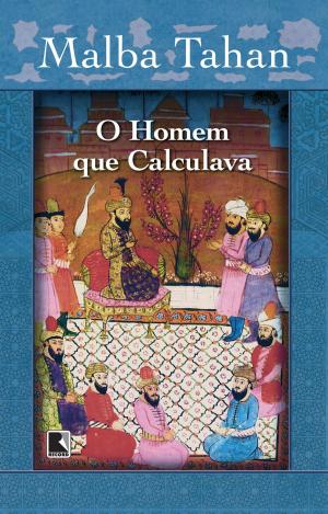 Cover of the book O homem que calculava by Julia McLaughlin