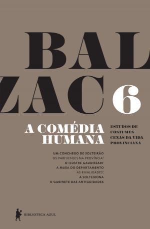 Cover of A Comédia Humana - v. 6 (Um conchego de solteirão, O ilustre Gaudissart, A musa do departamento, A solteirona, O gabinete das antiguidades)