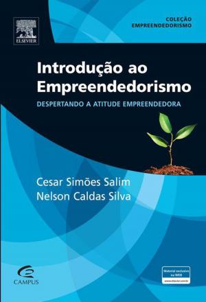 Book cover of Introdução ao empreendedorismo