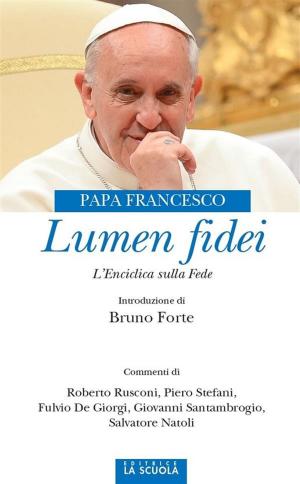 Cover of the book Lumen fidei by Salvatore Natoli