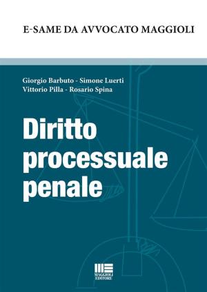 Cover of the book Diritto penale by Claudio Orsi