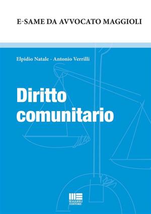 Cover of the book Diritto comunitario by Claudio Orsi