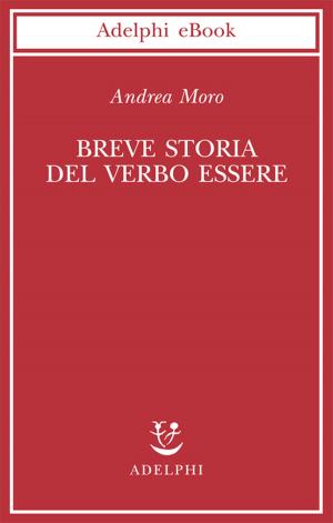 Cover of the book Breve storia del verbo essere by Jean Echenoz