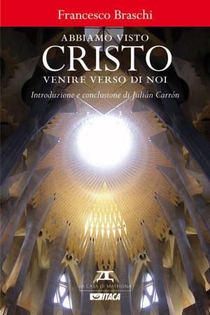 Cover of the book Abbiamo visto Cristo venire verso di noi by Mario Mauro, Matteo Forte