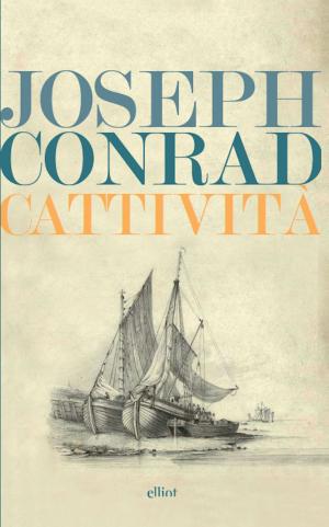 Cover of the book Cattività by John Galsworthy