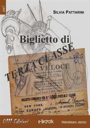 Cover of the book Biglietto di terza classe by Simona Gervasone