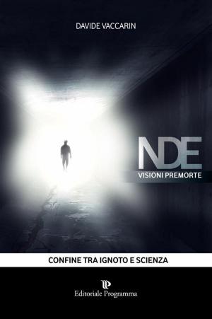 Cover of the book NDE Visioni Premorte by Luciano Rizzo
