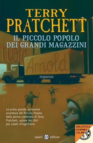Book cover of Il piccolo popolo dei grandi magazzini