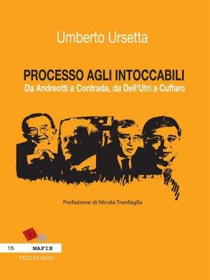 Cover of the book PROCESSO AGLI INTOCCABILI. Da Andreotti a Contrada, da Dell'Utri a Cuffaro by Pierfranco Bruni