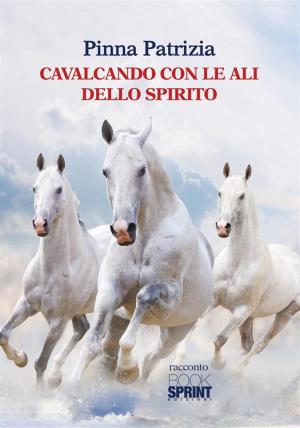 Cover of the book Cavalcando con le ali dello spirito by Francesco Siciliano