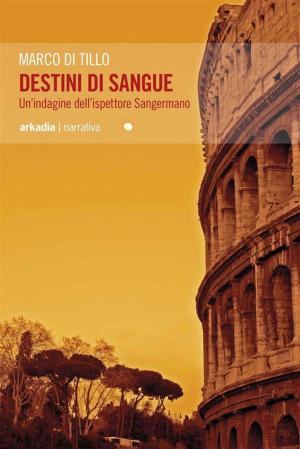 Cover of the book Destini di sangue by James Ruby
