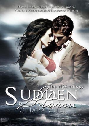 Cover of the book Sudden Storm by Milly Bourne