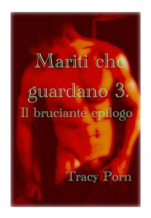 Cover of Mariti che guardano 3. il bruciante epilogo.