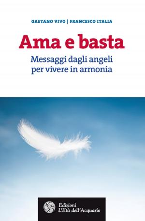 Book cover of Ama e basta