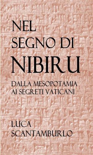 Cover of the book Nel segno di Nibiru. Dalla Mesopotamia ai segreti vaticani. by Oriana Scuderi