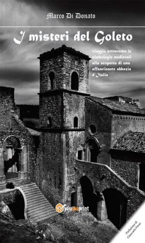 Cover of the book I Misteri del Goleto by Patrizia Pinna