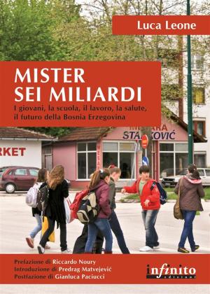 Cover of the book Mister sei miliardi by Elvira Mujcic, Elvira Mujčić, Jasmina Tešanović