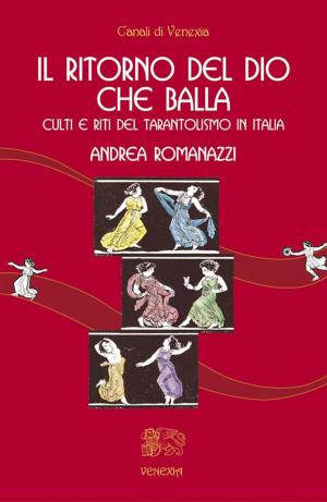 Cover of the book Il ritorno del dio che balla by Franco Barbieri