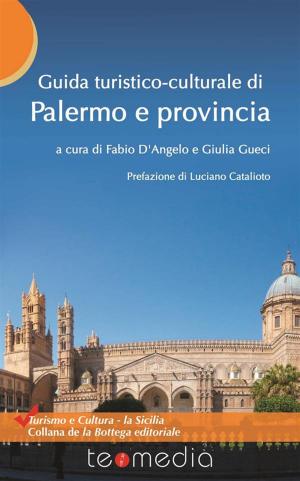 Cover of the book Guida turistico-culturale di Palermo e provincia by Martino Santillo