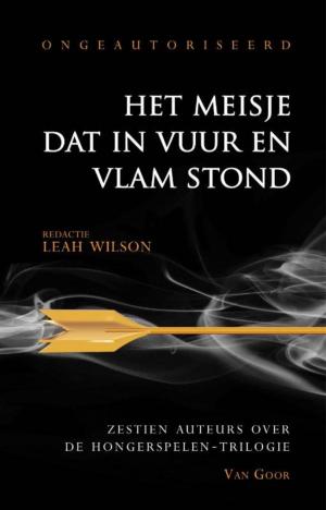 Cover of the book Het meisje dat in vuur en vlam stond by Vivian den Hollander