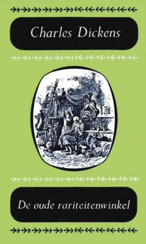 Cover of the book De oude rariteitenwinkel by Maya Banks