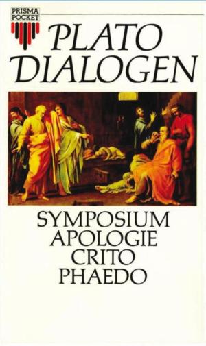 Cover of the book Dialogen by Arend van Dam