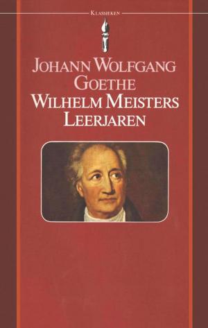 Cover of the book Wilhelm Meisters leerjaren by Mario Vargas Llosa