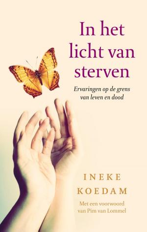 Cover of the book In het licht van sterven by Jolanda Hazelhoff