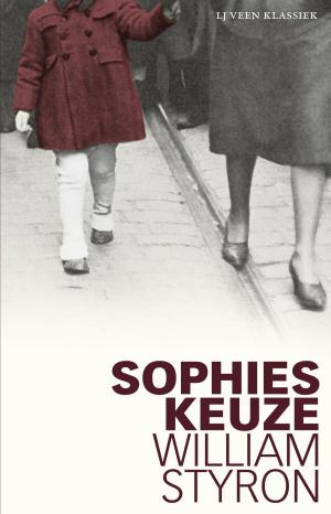 Cover of the book Sophies keuze by Lisa Halliday