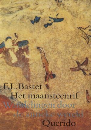 Cover of the book Het maansteenrif by Joost Zwagerman