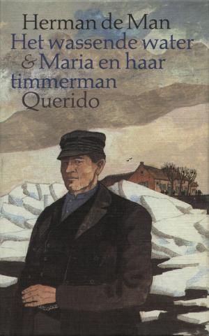 Cover of the book Het wassende water en Maria en haar timmerman by F. Bordewijk