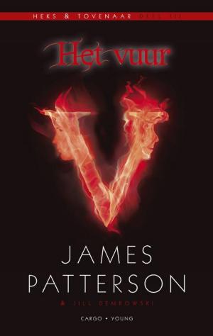 Book cover of Het vuur