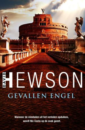 Cover of the book Gevallen engel by Adam Sandel
