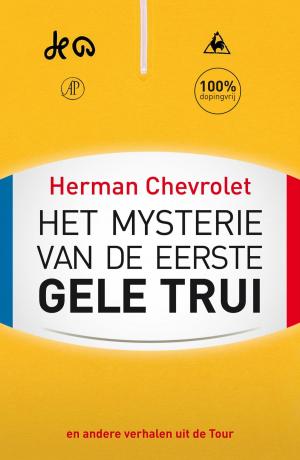 Cover of the book Het mysterie van de eerste gele trui by Jelmer Soes