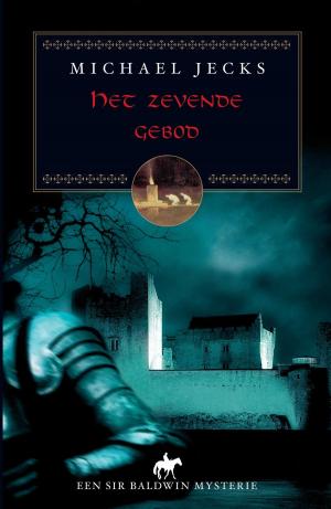 Cover of the book Het zevende gebod by Stuart Krimko