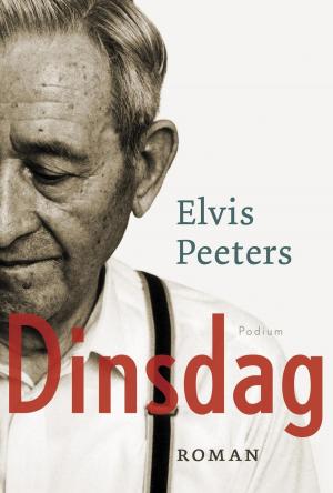 Cover of the book Dinsdag by Wilfried de Jong