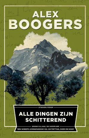Cover of the book Alle dingen zijn schitterend by Arjen Lubach