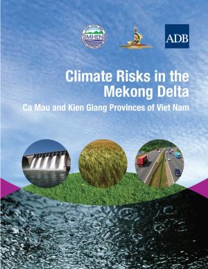 Cover of the book Climate Risks in the Mekong Delta by Alexander Goldstein