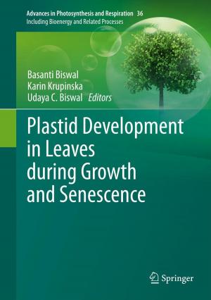Cover of the book Plastid Development in Leaves during Growth and Senescence by R.M. Mayer