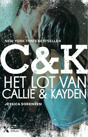 Cover of the book Het lot van Callie en Kayden by Elsbeth Witt