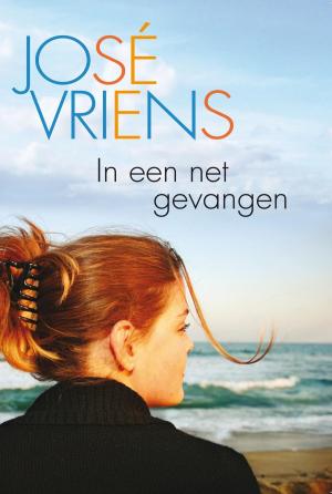 Cover of the book In een net gevangen by Clemens Wisse