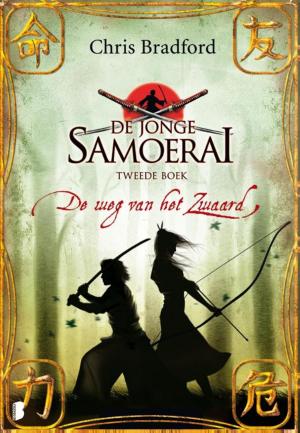Cover of the book De weg van het zwaard by Rob van Eeden