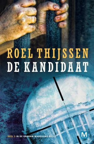 Cover of the book De kandidaat by TED BRAUN