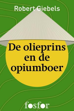 Cover of the book De olieprins en de opiumboer by F. Bordewijk