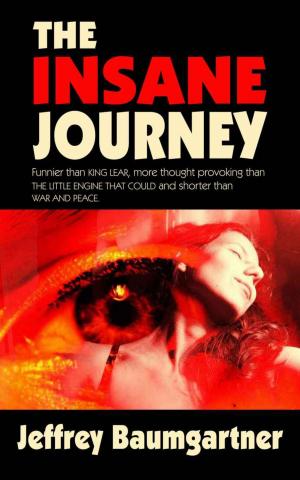 Cover of the book The Insane Journey by Jeff Brown