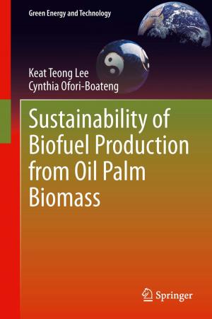 Cover of the book Sustainability of Biofuel Production from Oil Palm Biomass by Rupert Hodder