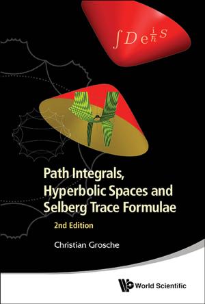 Cover of the book Path Integrals, Hyperbolic Spaces and Selberg Trace Formulae by Alexander W Chao, Weiren Chou
