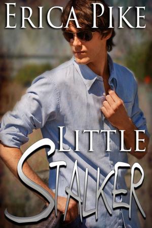 Cover of Little Stalker